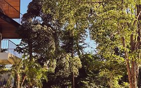 Purapura Santa Teresa